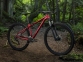Велосипед 2019 Trek X-Caliber 8 19,5