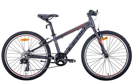 Велосипед 2021 Leon 24